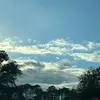 ted - @tedsapp - TikTok