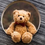 Frank Teddy Schindler - @frankteddyschindler - Instagram