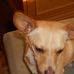 Ted Schoenburg - Facebook