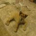Ted Schumacher - Facebook