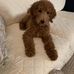 Ted Shepherd - Facebook