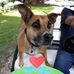 Ted Shepherd - Facebook