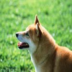 Ted_Shepherd - @ted_shepherdm - Instagram