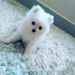 ted - @ted_silva_ - Instagram