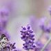 Ted Silverman - Facebook