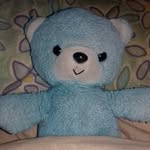 Ted Sim - @ted.sim.555 - Instagram