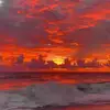 Ted_Sim - @ted_sim - TikTok