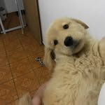 Ted Simão - @tedsimao - Instagram