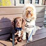 Sid & Ted's Amazing Adventure - @sid_and_ted_adventures - Instagram