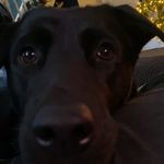 Ted Slater - @tz.tz.tz.tzf - Instagram