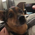Ted Slater - @tedtheswede - Instagram