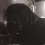 Ted Slater - @ted.slater.1 - Instagram