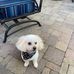 Ted Sloan - Facebook