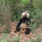 tedsmall - @tedsmall79 - Instagram