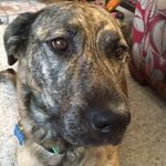 Teddy - @ted_snelly - Instagram