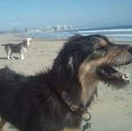 Teddy N Baxter Snifferman - Facebook