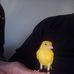 Ted Snow - Facebook