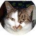 Ted Sobel - Facebook