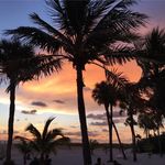 Ted Sobel Jr - @sobeljr - Instagram