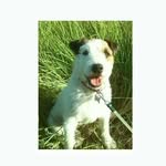 ted.southwood - @ted.southwood - Instagram