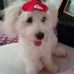 Ted Arinos Roriz Hassan De Souza - Facebook