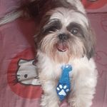 Ted souza - @ted_lindo_03 - Instagram
