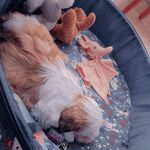 @ted_souza_ - Instagram