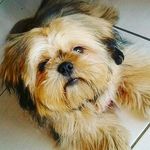 @Ted Souza @ - @ttedssouza - Instagram