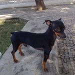 Ted Souza Fortes - @tedsouzafortes - Instagram