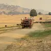 tedSpears13 - @tedspears - TikTok