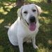 Teddy Spinelli - Facebook