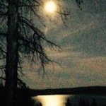 Ted Sprague - @tedster412 - Instagram