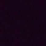 Ted#springboxspringer - @tedspringboxspringer - Instagram