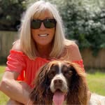 Angela Vink - @ted.banger_springer_spaniel - Instagram