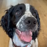 TED - @thespringerted - Instagram