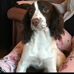 Ted x - @ted.thespringer - Instagram