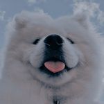 au's and stuff - @sprousecited - Instagram