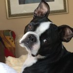 Ted Squires - @tedsquires - Instagram