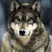 Ted Staggs - Facebook