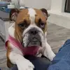 Ted Stanford - @ted.stanford - TikTok