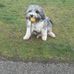 Ted Stapleton - Facebook