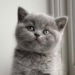 Teddy Steffen - @teddy_thetedmeister_bsh - Instagram