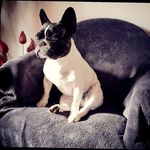 Teddy Steiner - @teddisteiner - Instagram