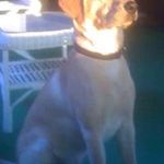 Ted Stephenson - @grindstoneacres2007 - Instagram