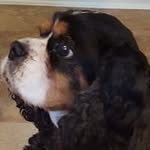 Ted Sterns - @tedsterns - Instagram