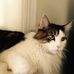 Teddy Stern - Facebook
