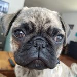 Ted Stevenson - @ted.stevenson.tc - Instagram