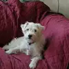 TEDDYSTINE - @teddystine - TikTok