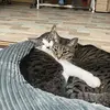stockted - @stockted - TikTok
