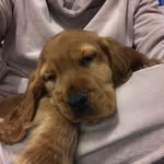 Ted Baverstock - @tedbaverstock - Instagram